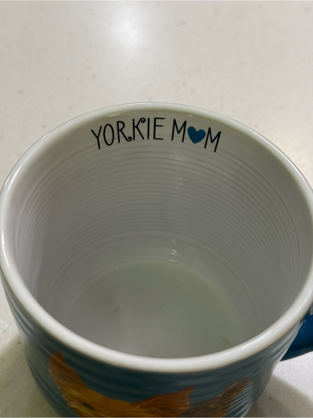 Yorkie accessories Bundle- Ceramic coffee mug, wall decor and gift cards - Picture 8 of 9
